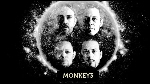 01 monkey3 header