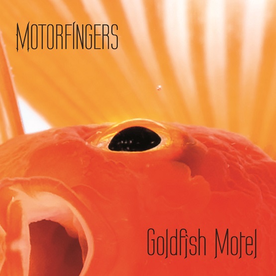 Goldfishmotelweb